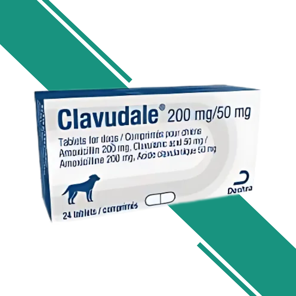 Clavudale Tablets formulated for Dogs